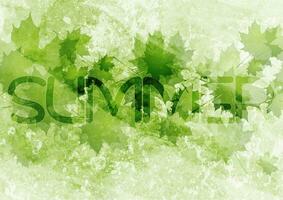 Grunge summer eco background with green leaves vector