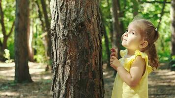 uma 2 anos criança abraços uma árvore tronco dentro a floresta.terra dia, Salve  planeta, Salve  a mundo, amor natureza. video