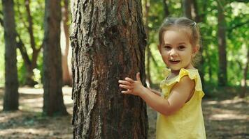 uma 2 anos criança abraços uma árvore tronco dentro a floresta.terra dia, Salve  planeta, Salve  a mundo, amor natureza. video