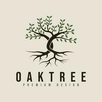 vintage oak tree logo vector minimalist illustration design .pine tree or palm tree nature line art logo.