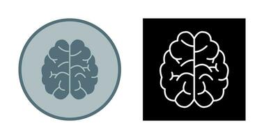 Brain Vector Icon