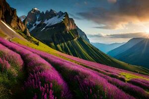 the sun rises over the lavender fields in the mountains. AI-Generated photo