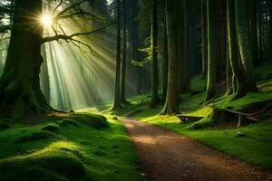 el Dom brilla mediante el arboles en un bosque. generado por ai foto