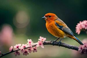 foto fondo de pantalla el cielo, pájaro, flores, primavera, el pájaro, primavera, el pájaro,. generado por ai