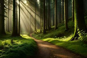 a path through a forest with sunbeams shining down. AI-Generated photo
