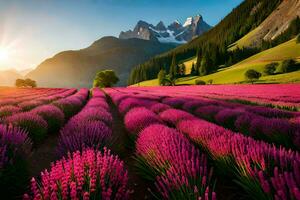 lavender field at sunset in the mountains. AI-Generated photo