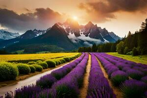 the lavender field in the mountains. AI-Generated photo