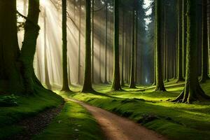 a path through a forest with sunbeams shining through the trees. AI-Generated photo