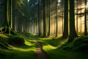 a path through a forest with sunlight shining through the trees. AI-Generated photo