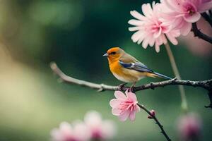 un pequeño pájaro se sienta en un rama con rosado flores generado por ai foto