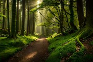a path through a green forest with mossy trees. AI-Generated photo