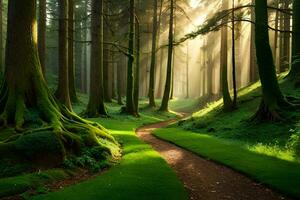 un camino mediante un bosque con arboles y césped. generado por ai foto