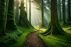 a path through a forest with trees and sunbeams. AI-Generated photo