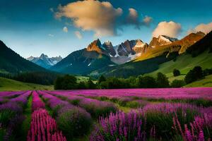 the lavender field in the mountains. AI-Generated photo