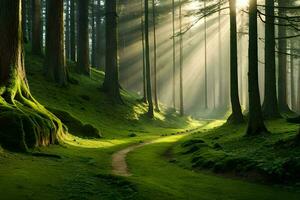 un camino mediante un bosque con rayos de sol brillante mediante el arboles generado por ai foto