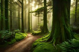 a path through a green forest with trees and moss. AI-Generated photo