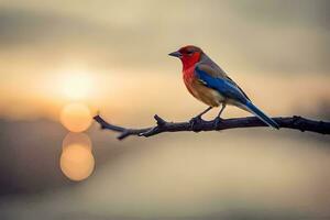a colorful bird sits on a branch at sunset. AI-Generated photo