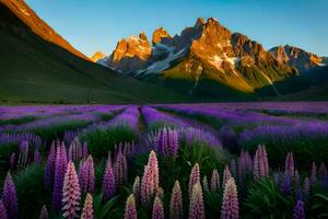 the lupine field in the mountains. AI-Generated photo