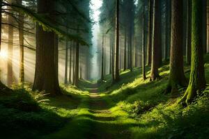 un camino mediante un bosque con rayos de sol brillante mediante el arboles generado por ai foto