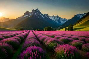 the sun rises over lavender fields in the mountains. AI-Generated photo