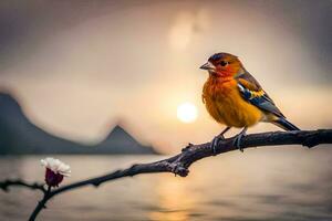 a colorful bird sits on a branch in front of the sunset. AI-Generated photo
