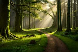 a path through a green forest with sunbeams shining down. AI-Generated photo