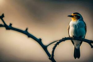 a bird sitting on a branch with the sun in the background. AI-Generated photo