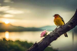 un pájaro se sienta en un rama cerca un lago a puesta de sol. generado por ai foto