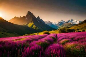 the sun rises over lavender fields in the mountains. AI-Generated photo