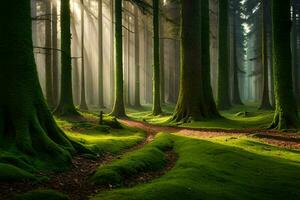 a path through a forest with mossy trees. AI-Generated photo