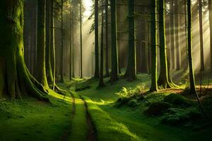 fotografía - bosque camino por James watson. generado por ai foto