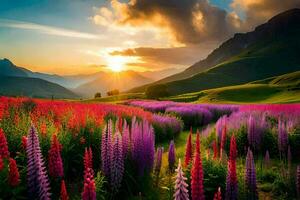 the sun rises over a field of lupine flowers in the mountains. AI-Generated photo