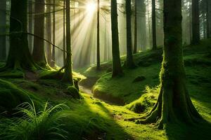 the sun shines through the trees in a forest. AI-Generated photo