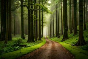 un suciedad la carretera en el medio de un bosque. generado por ai foto