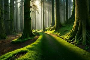 a path through a forest with trees and grass. AI-Generated photo