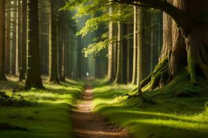 un camino mediante un bosque con arboles y césped. generado por ai foto