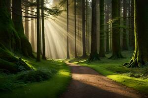 a path through a forest with sunbeams shining down. AI-Generated photo