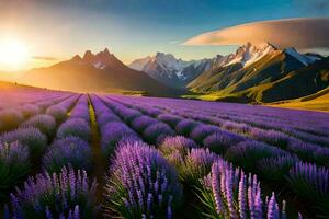 the lavender field in the mountains. AI-Generated photo