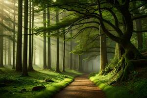 a path through a forest with trees and grass. AI-Generated photo