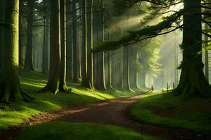 a path through a forest with trees and sunbeams. AI-Generated photo