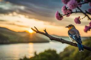 a bird sits on a branch with pink flowers at sunset. AI-Generated photo