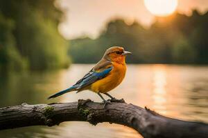 un azul y naranja pájaro se sienta en un rama cerca un lago. generado por ai foto