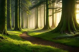 un camino mediante un bosque con arboles y césped. generado por ai foto