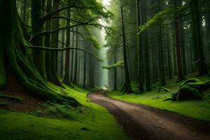 a dirt road in a green forest with trees. AI-Generated photo