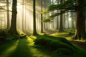 un bosque con cubierto de musgo arboles y luz de sol. generado por ai foto