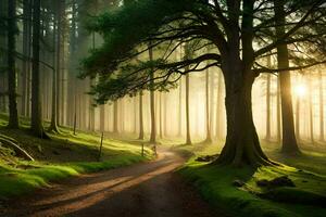 a path through a forest with trees and fog. AI-Generated photo
