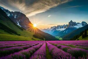 the sun rises over a lavender field in the mountains. AI-Generated photo