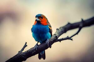 a colorful bird sits on a branch. AI-Generated photo