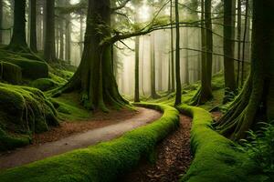 un camino mediante un bosque con cubierto de musgo arboles generado por ai foto