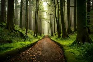 a path through a forest with trees and moss. AI-Generated photo